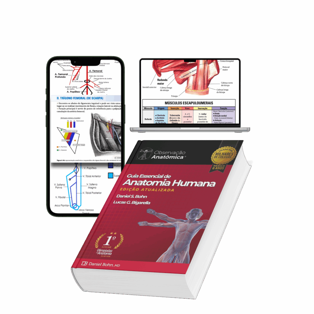 Combo Especial - Observação Anatômica